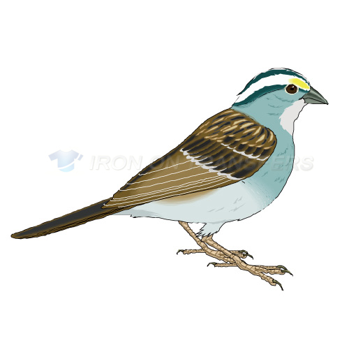 Birds Iron-on Stickers (Heat Transfers)NO.2157